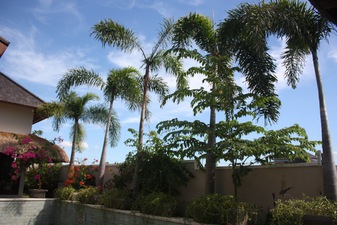  VILLA FIFI 2 CANGGU 
