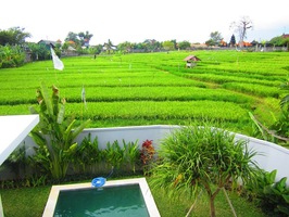  VILLA NINASACH2 