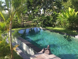  VILLA SAWAHNAT 