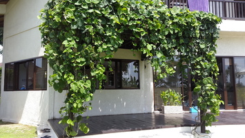  VILLA AGUSTI 