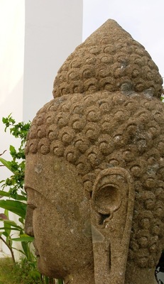  VILLA ASEMAN CANGGU 