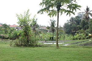  VILLA BATU 