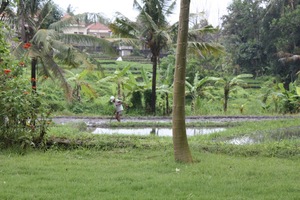  VILLA BATU 