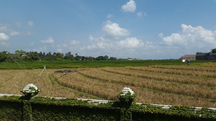  VILLA ASRI UMALAS 