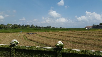  VILLA ASRI UMALAS 