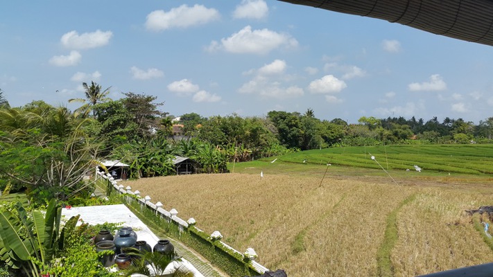  VILLA ASRI UMALAS 