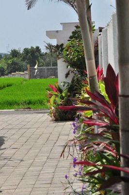  VILLA CINTAKU CANGGU 