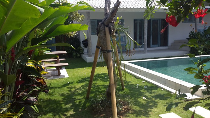  VILLA ECOPADDIES CANGGU 