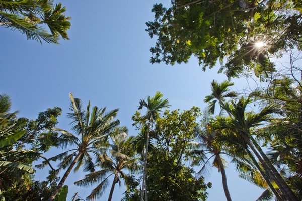  VILLA KIM SEMINYAK 