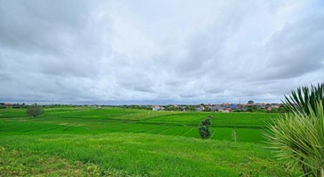  VILLA BATU PUTIH CANGGU 