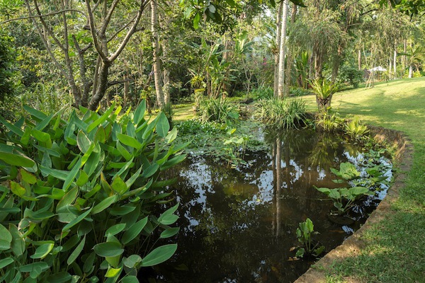  VILLA BAMBOO CEPAKA 