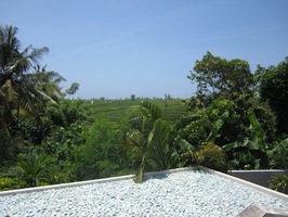  VILLA BUNGA SAWAH 