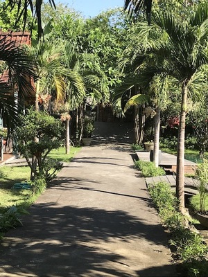 VILLAKAYUHUG 