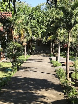  VILLAKAYUHUG 
