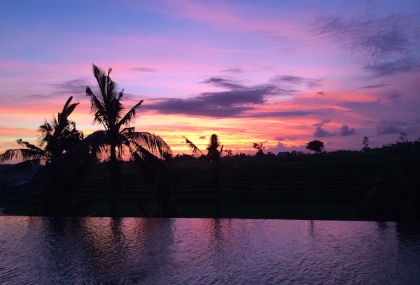  VILLA DELAPAN CANGGU 