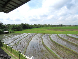  VILLA ASRI UMALAS 