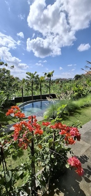  VILLA KINGFISHER 