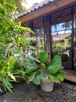  VILLA KAYULAMA UMALAS 