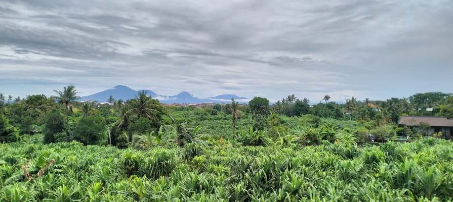VFL467