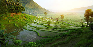 Terrains à Bali